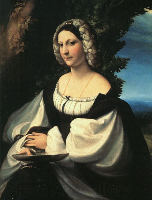 CORNELISZ VAN OOSTSANEN, Jacob Portrait of a Gentlewoman df Norge oil painting art